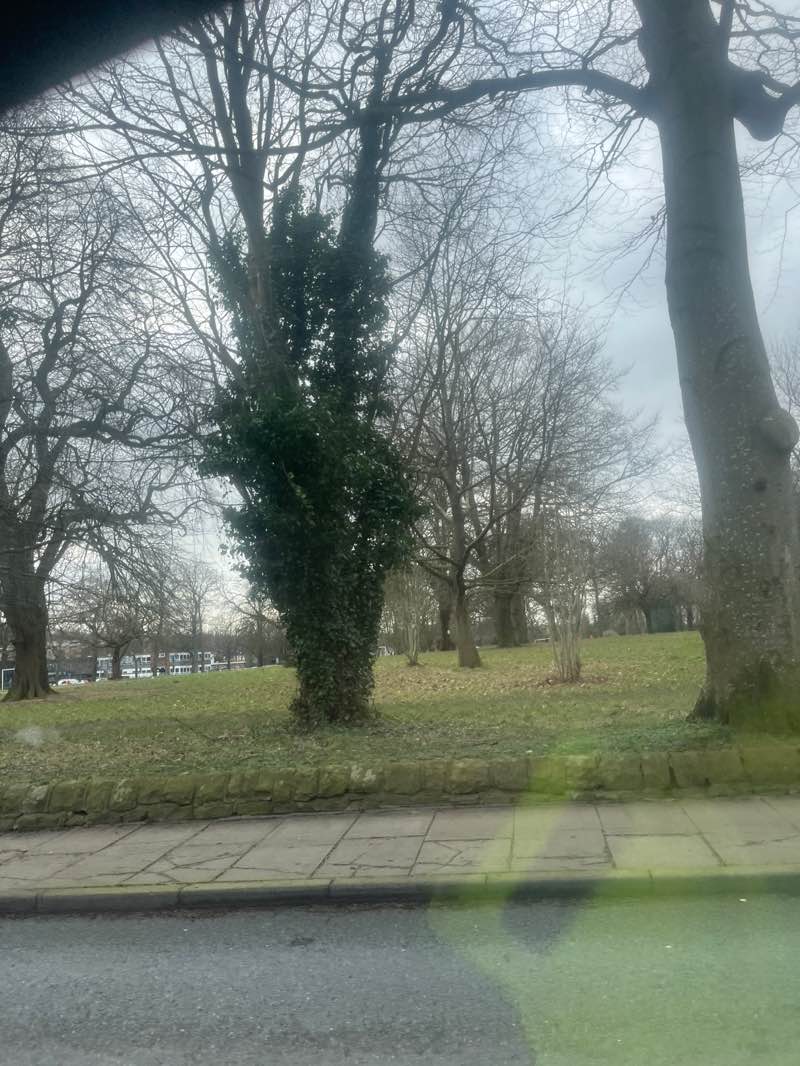 walking near me in Ryelands Park in winter