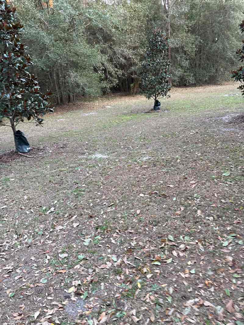walking near me in Palmetto Leaves Regional Park in winter