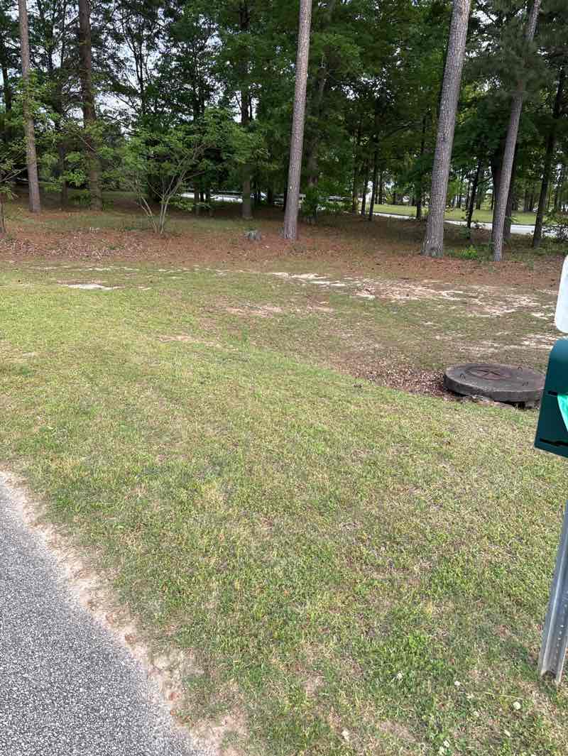 walking near me in Britt David Park in spring