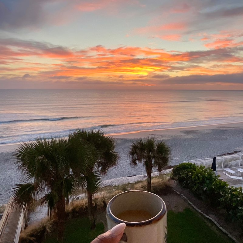 ꧁❦🌻𝑆𝑢𝑛𝑓𝑙𝑜𝑤𝑒𝑟🌻❦꧂