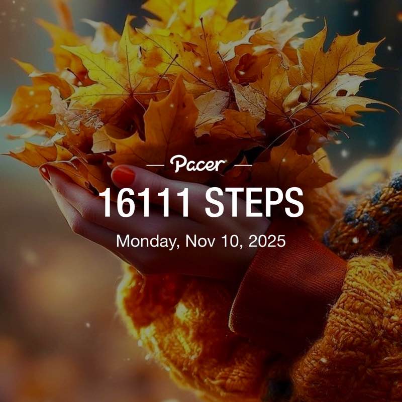 ꧁❦🌻𝑆𝑢𝑛𝑓𝑙𝑜𝑤𝑒𝑟🌻❦꧂ post 2