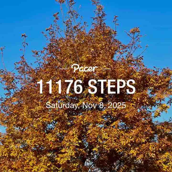 ꧁❦🌻𝑆𝑢𝑛𝑓𝑙𝑜𝑤𝑒𝑟🌻❦꧂ post 2