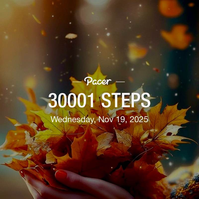 ꧁❦🌻𝑆𝑢𝑛𝑓𝑙𝑜𝑤𝑒𝑟🌻❦꧂ post 2