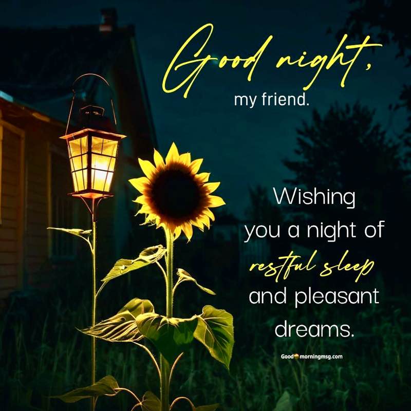 ꧁❦🌻𝑆𝑢𝑛𝑓𝑙𝑜𝑤𝑒𝑟🌻❦꧂ post 1
