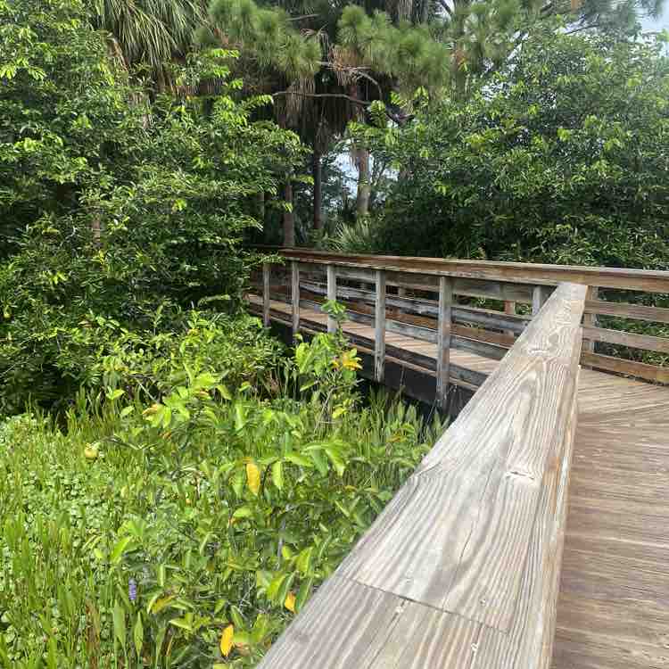 Miami Walking on  Sunshine  george1942 post image