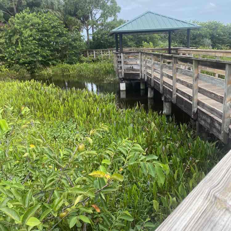 Miami Walking on  Sunshine  george1942 post image