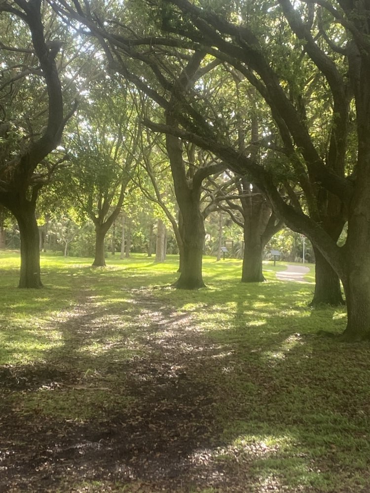 walking near me in Barwick Park in spring