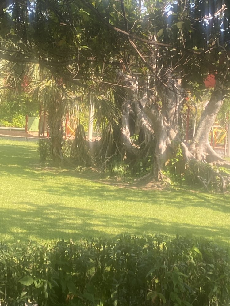 walking near me in Orchard View Park in spring