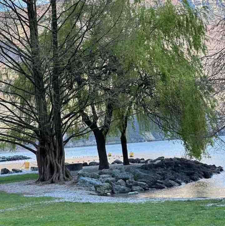 CAMMINARE,  Miglior Medicina ❤️ alionax79 post image