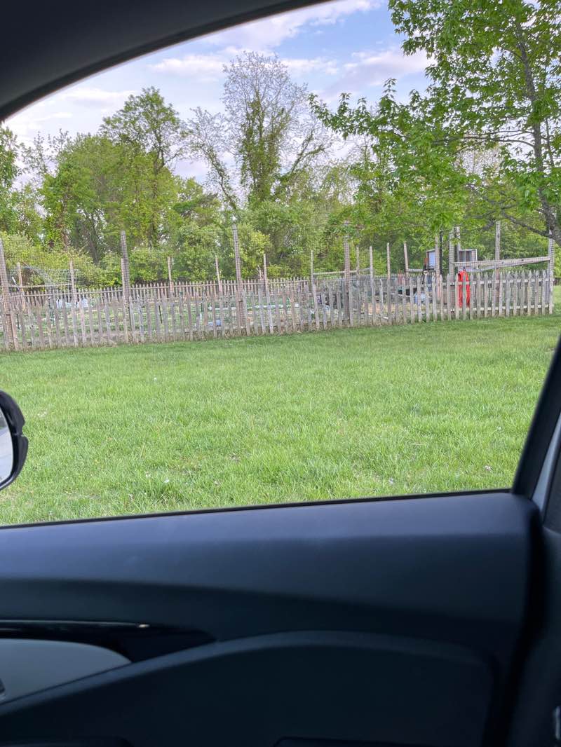 walking near me in Cedar Hill Park in spring