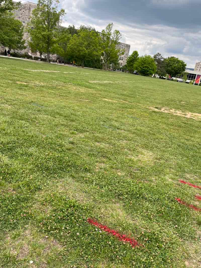 walking near me in Dietrick Lawn in spring