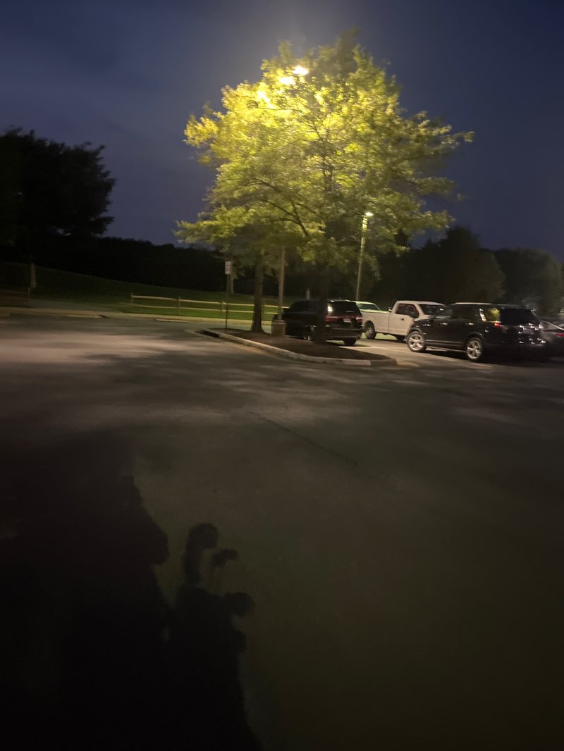 walking near me in Oak Marr Park in summer