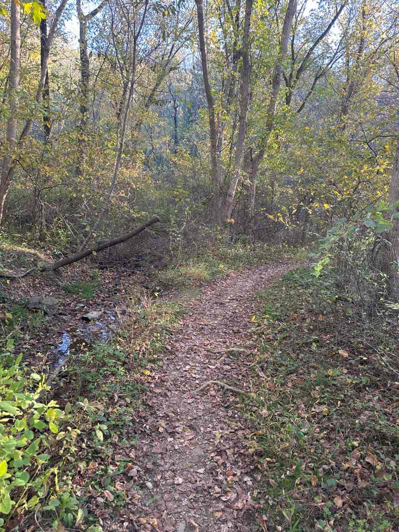 walking near me in Appalachian National Scenic Trail in autumn