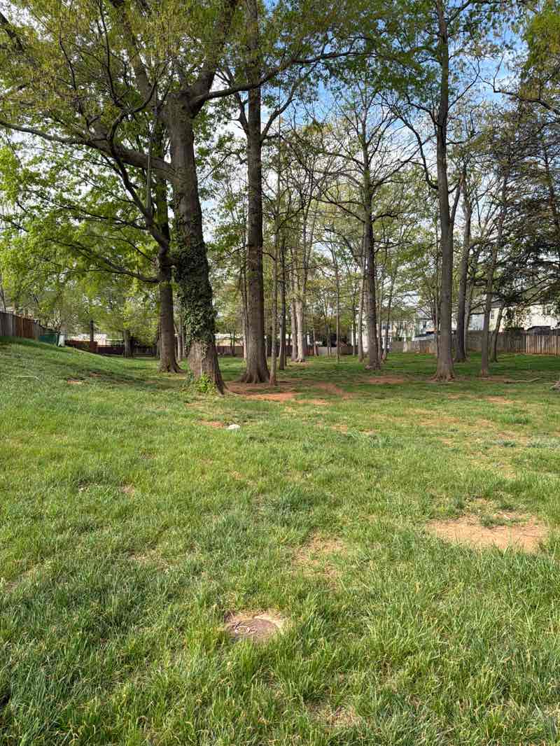 walking near me in Bristoe Station Park in spring