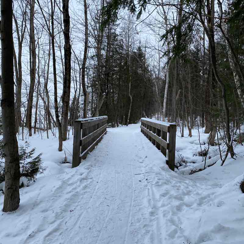 PacerGal_1956 post 1