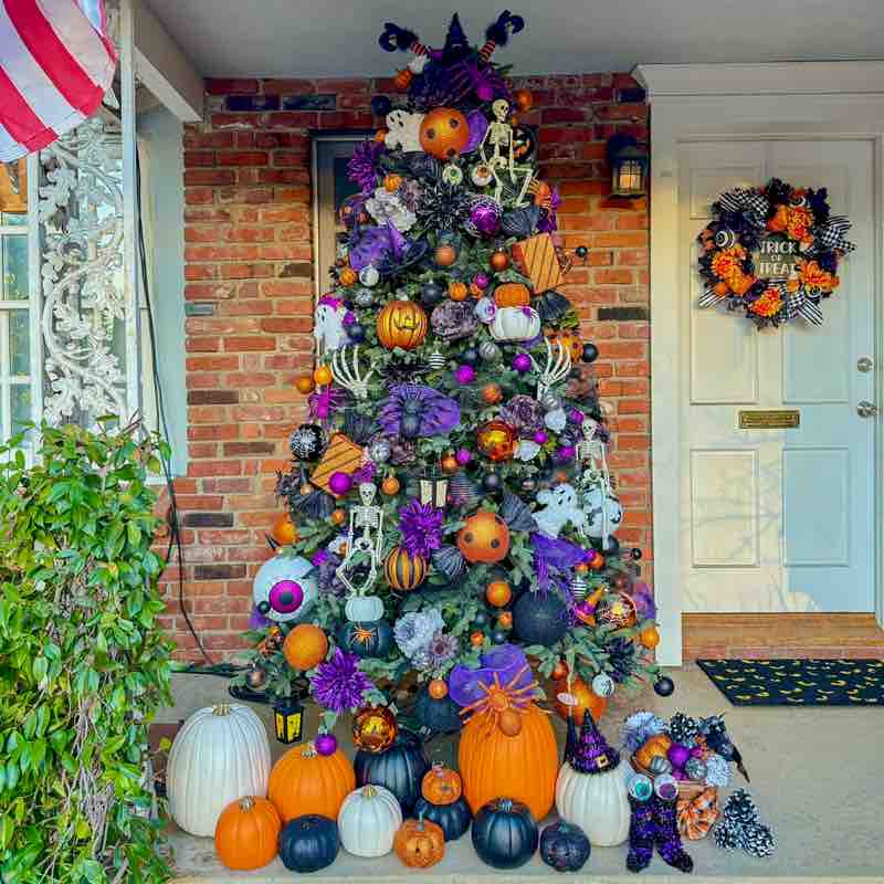 blueberry 🇺🇸🇵🇭 post 1