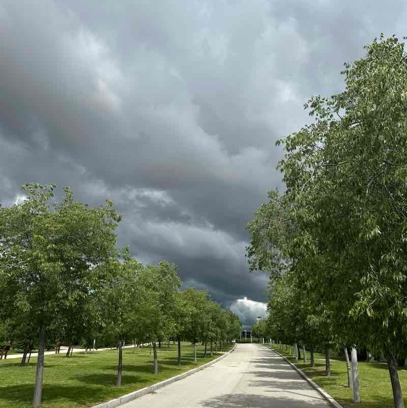 Pedro 🇪🇸 post 1