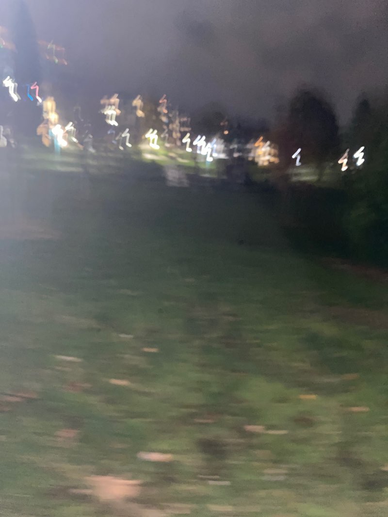 walking near me in Peter Kirk Memorial Park in autumn