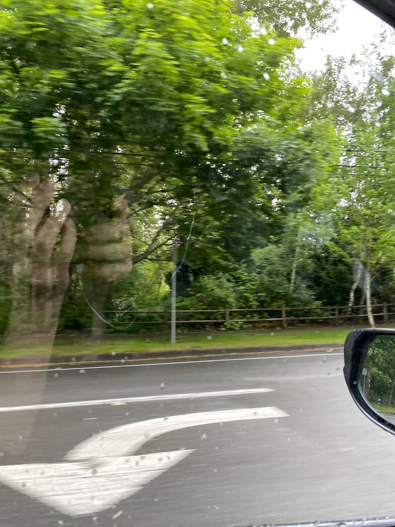 walking near me in North Rose Hill Woodlands Park in spring