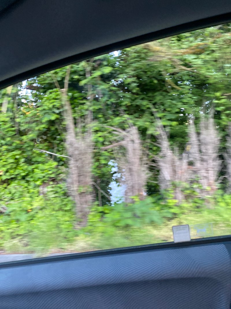 walking near me in Wayne Public Golf Course in spring