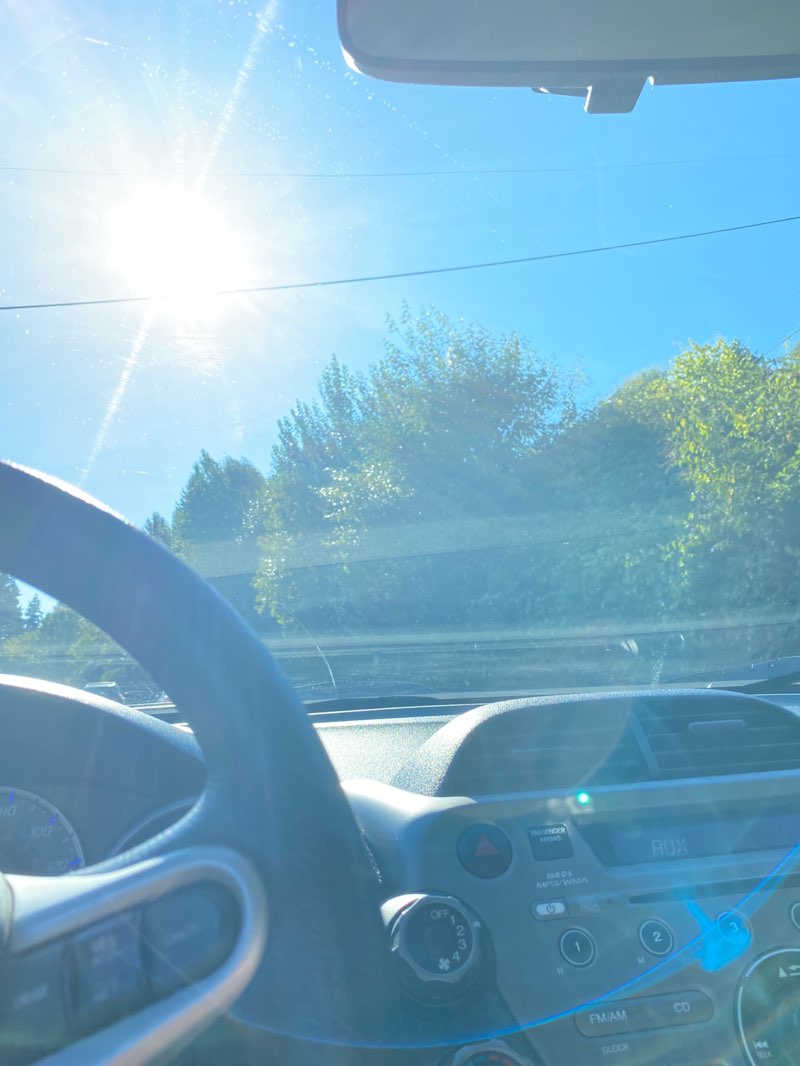 walking near me in Log Boom Park in autumn