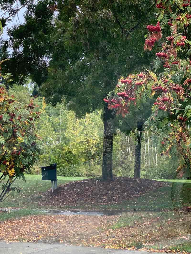 walking near me in Cromwell Park in autumn