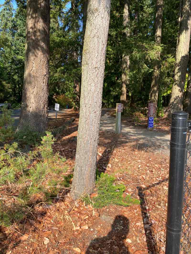 walking near me in Gold Park in autumn