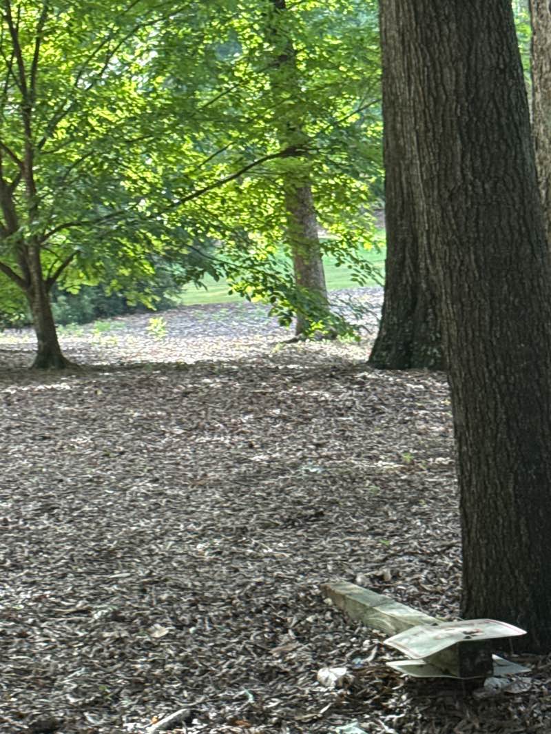 walking near me in Hill Park in spring