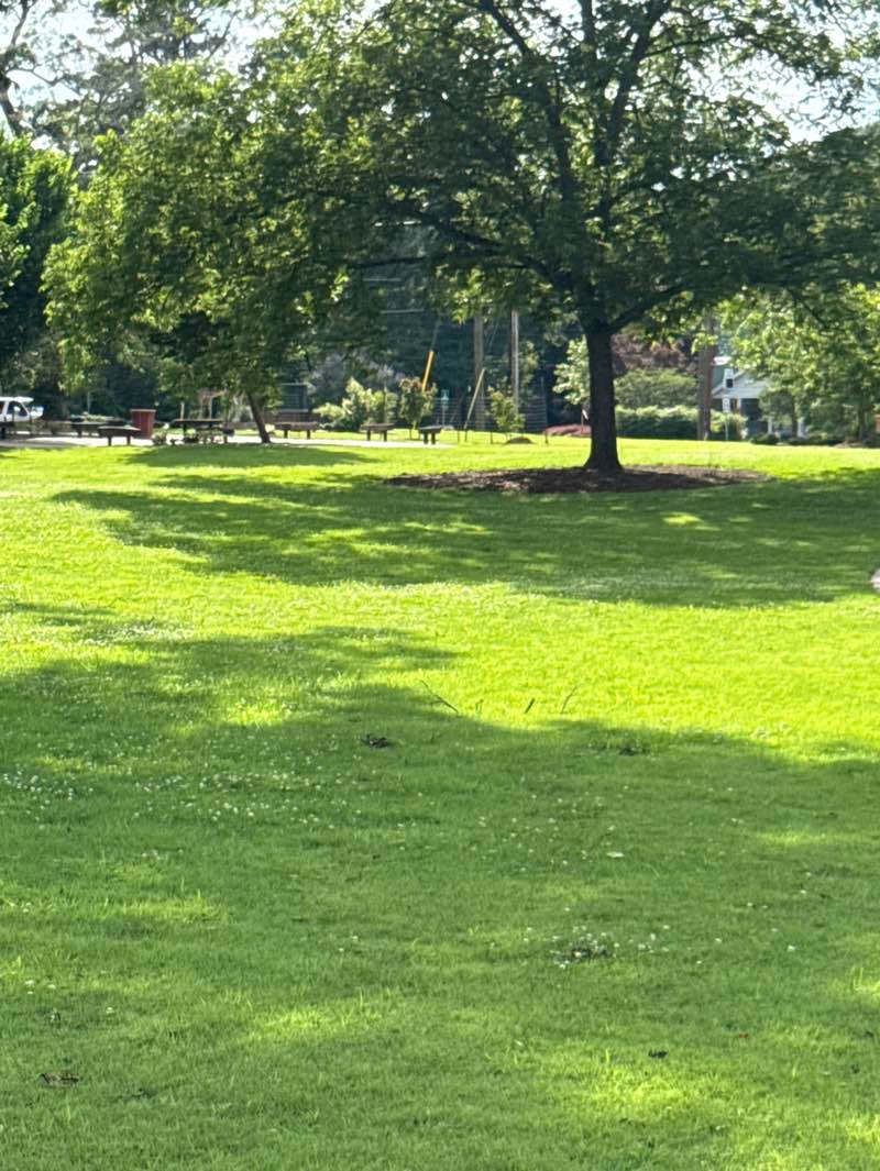 walking near me in Lambert Park in summer