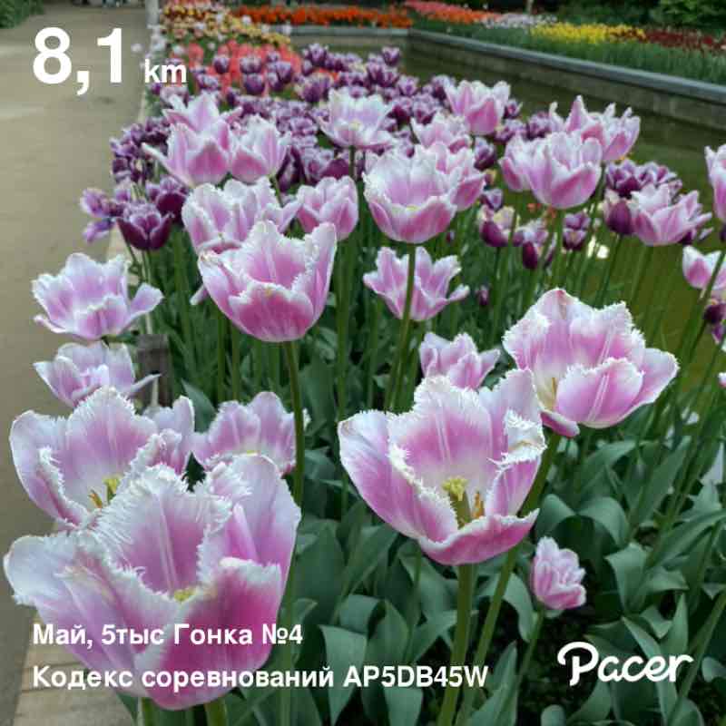 Vitaly👟🌐 post 1