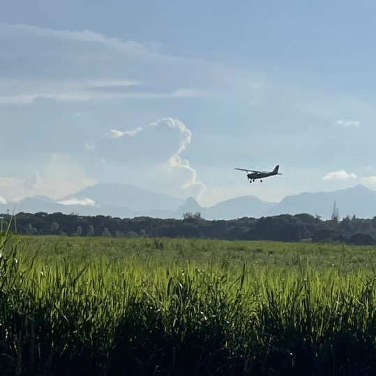 Liza🏝🌌🏟🎧🥀