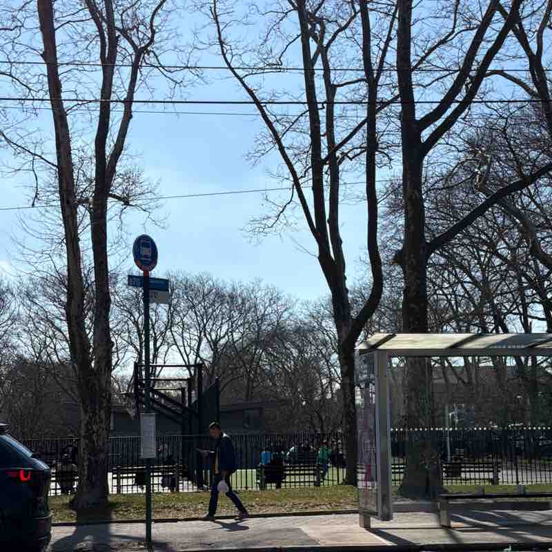 PacerGal_1969 post 1