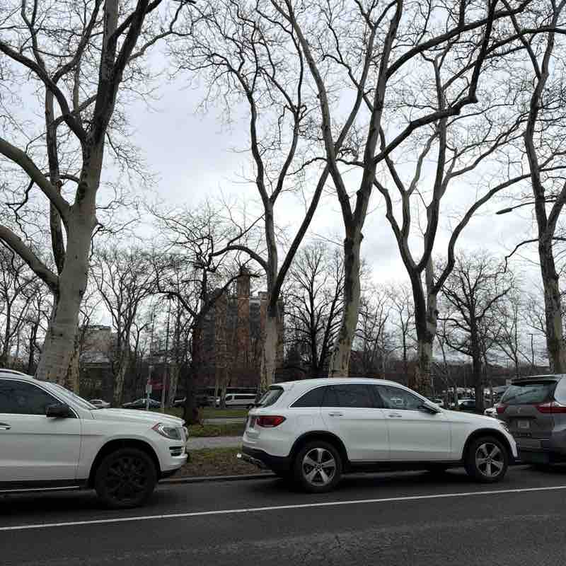 PacerGal_1969 post 1