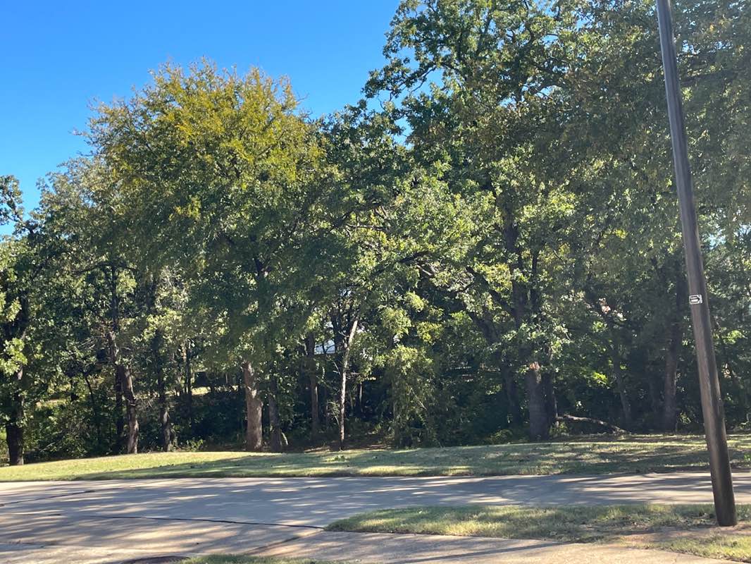 walking near me in Silverthorne Park in autumn