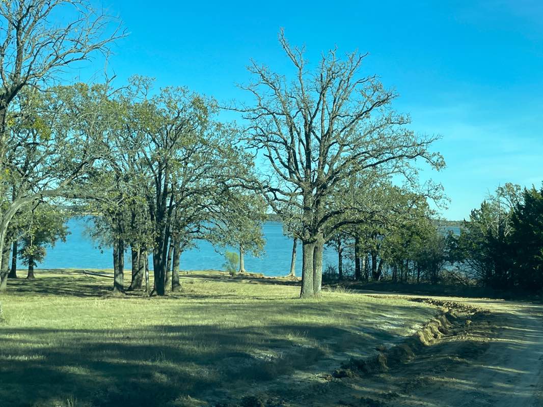 walking near me in Shady Park in autumn