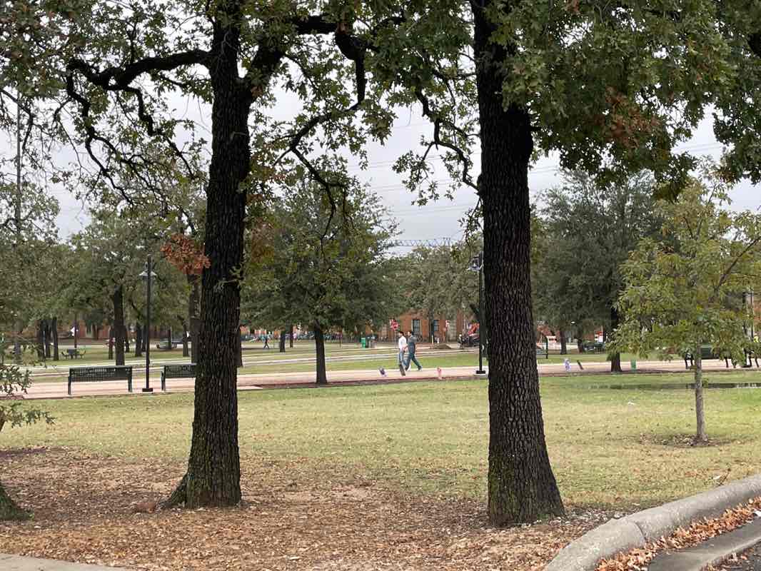 walking near me in Clark Park in autumn