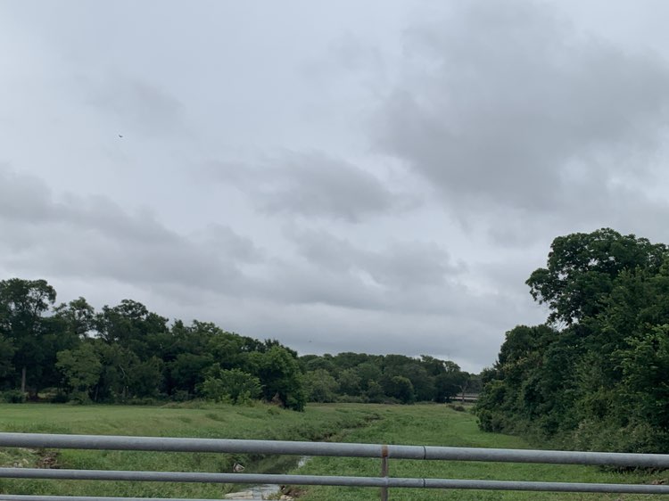 walking near me in Carl Gene Young Sr. Park in summer