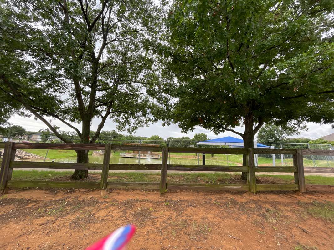 walking near me in Town Hall Park in summer