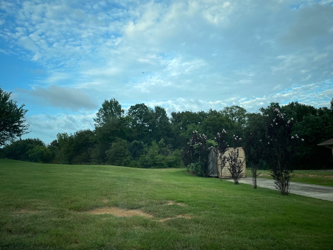 walking near me in Lake Forest Park in summer