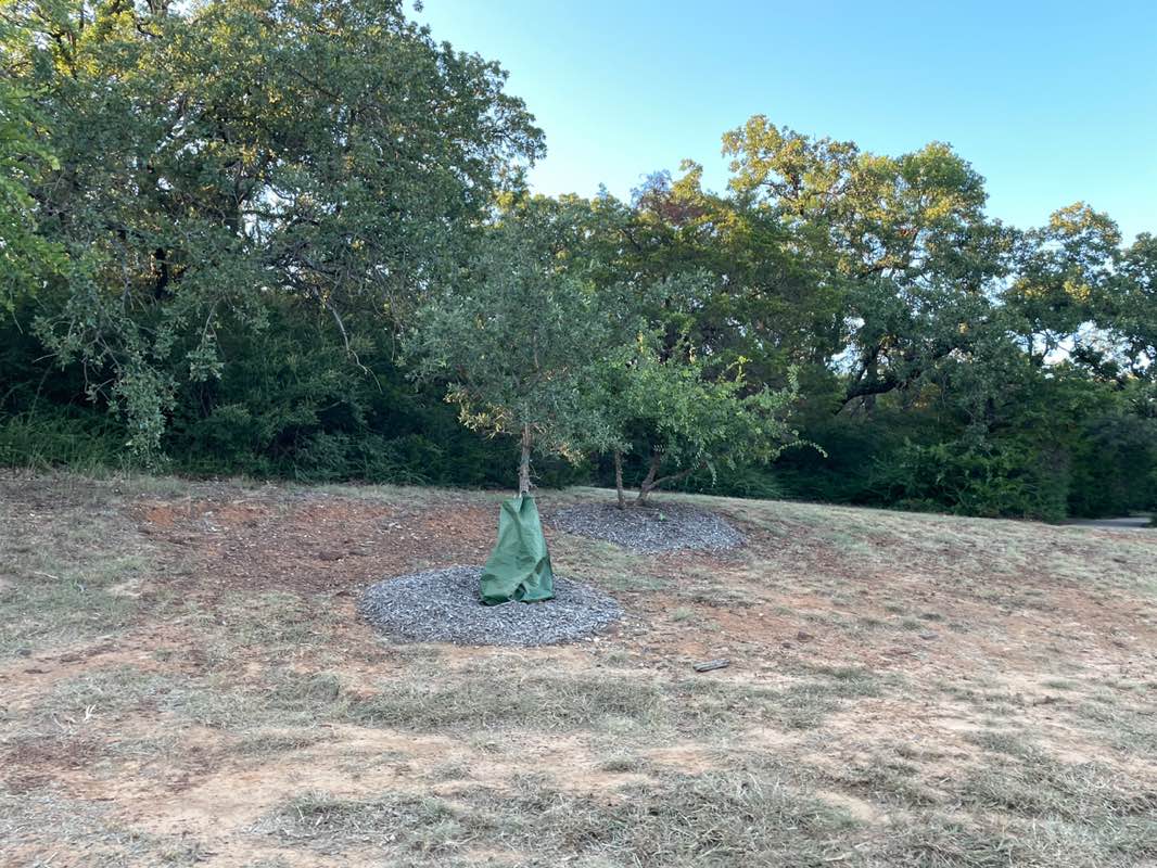 walking near me in Oakmont II Park in autumn