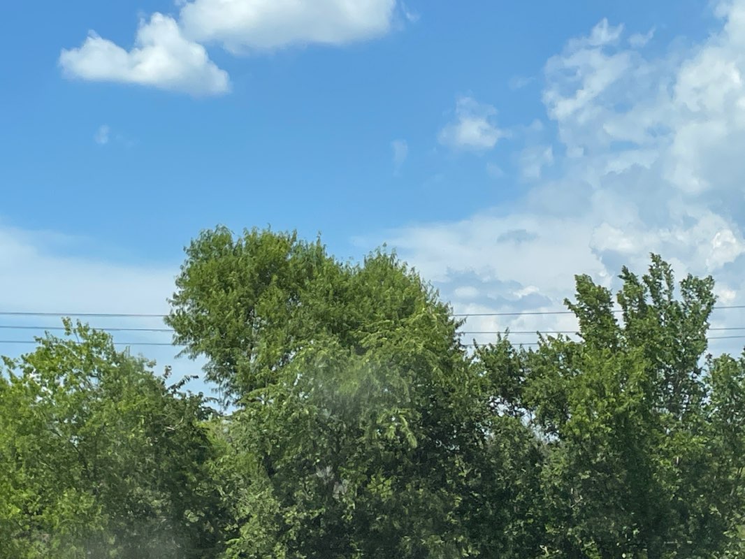 walking near me in Lewisville Lake Environmental Learning Area in autumn