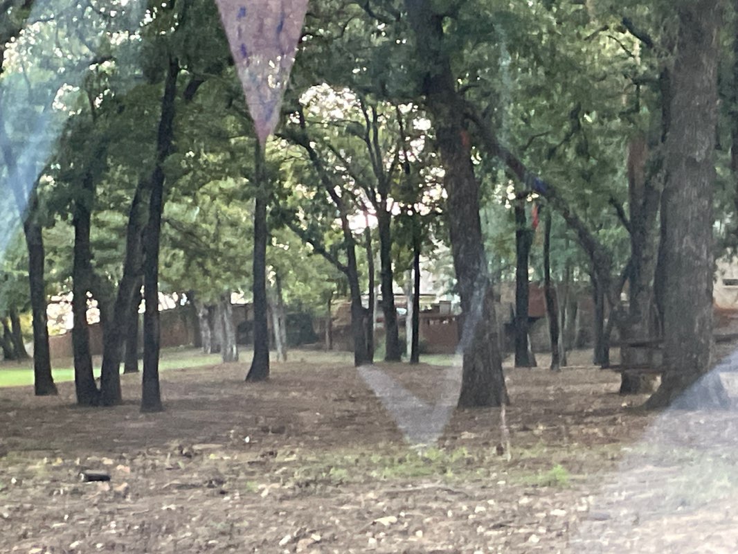 walking near me in Knoll Park in autumn