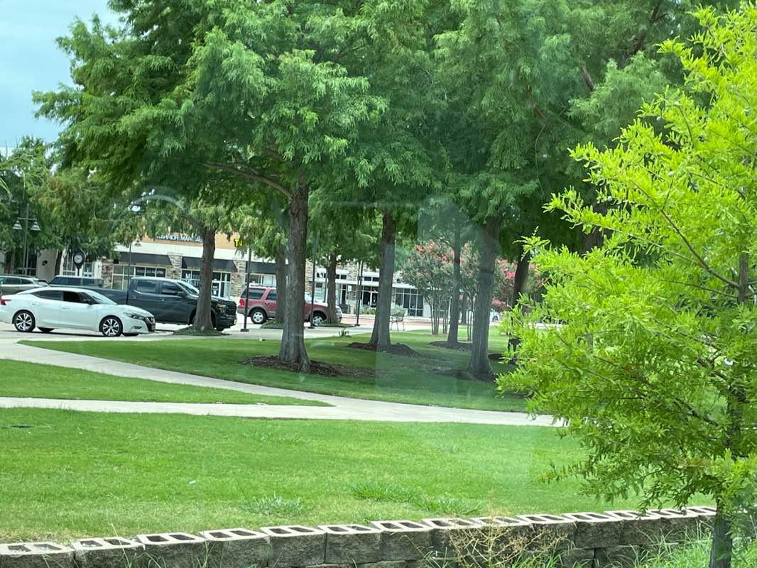 walking near me in Eldorado Playground in summer