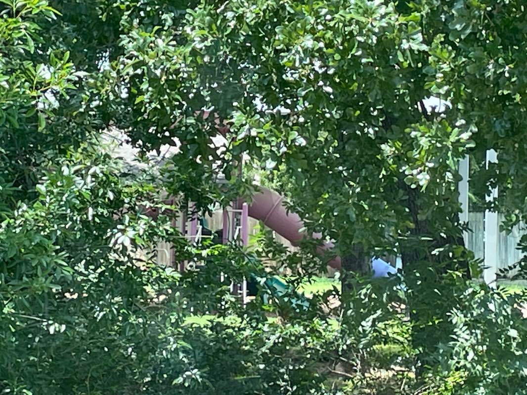 walking near me in Lower Sellmeyer Park in summer