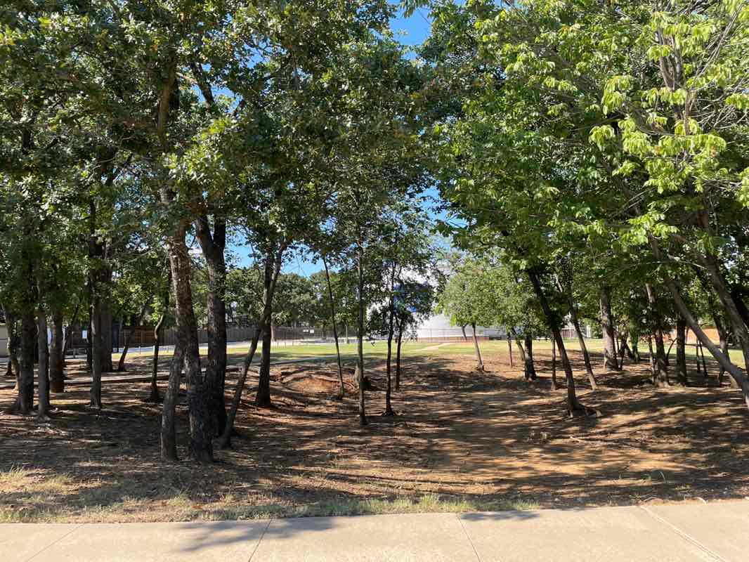 walking near me in Woods Park in autumn