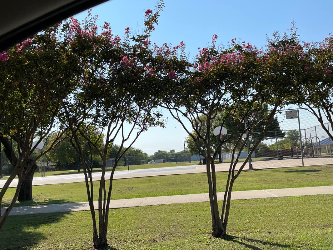 walking near me in Switzer Park in autumn