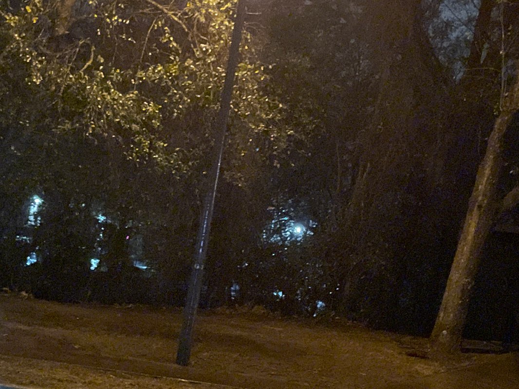 walking near me in Possum Park in winter