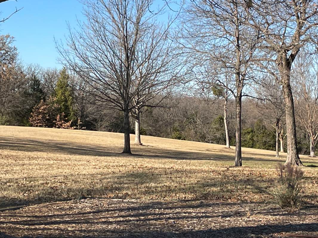 walking near me in Lake Forest Park in winter