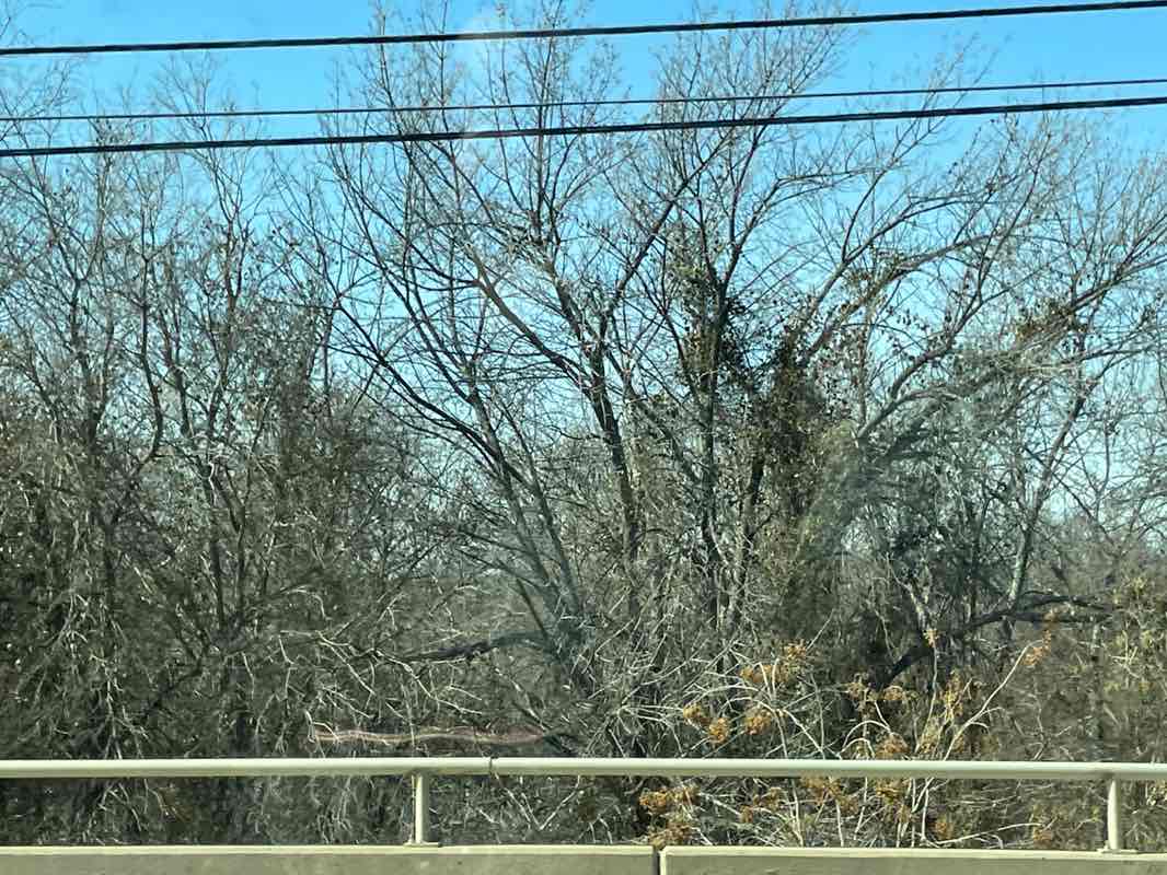 walking near me in Grand Park (Undeveloped) in winter