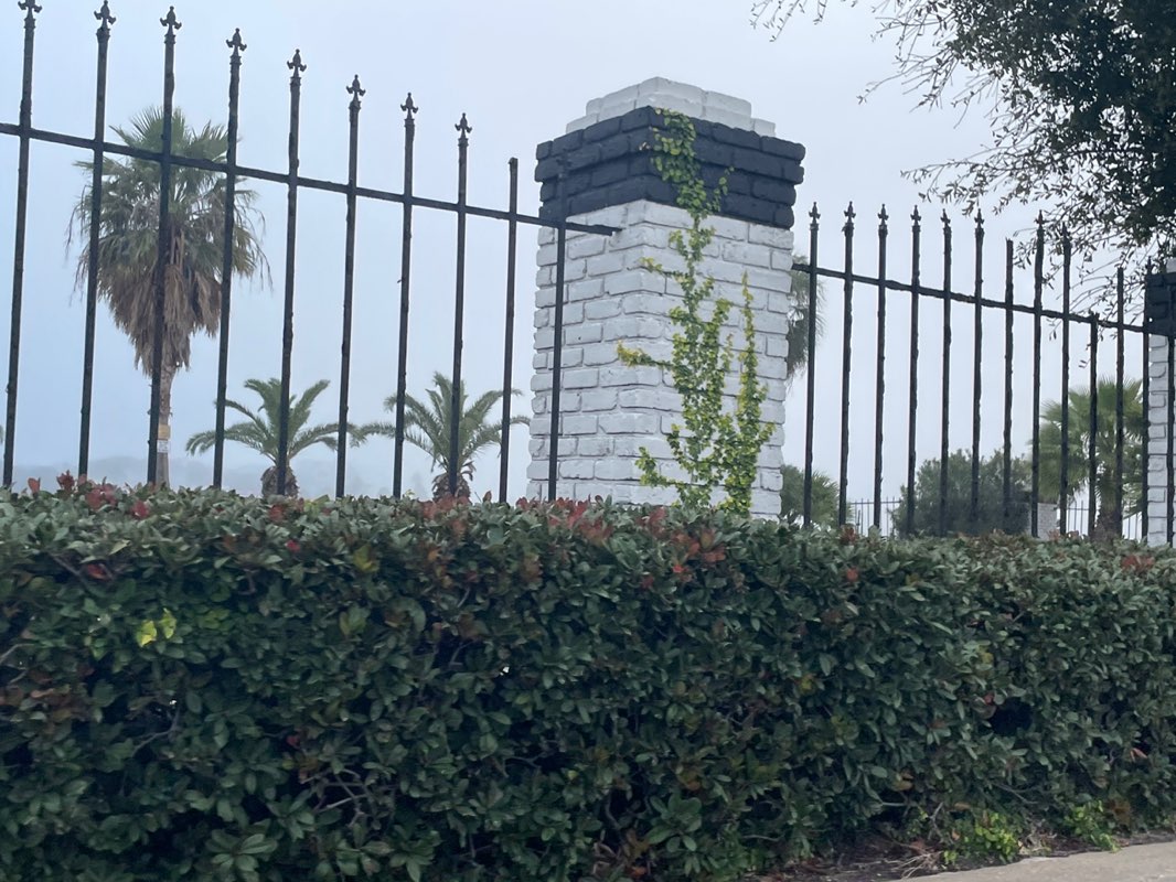 walking near me in Lee and Joe Jamail Bay Park in winter